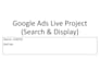 setup and manage google ads campaigns professionally